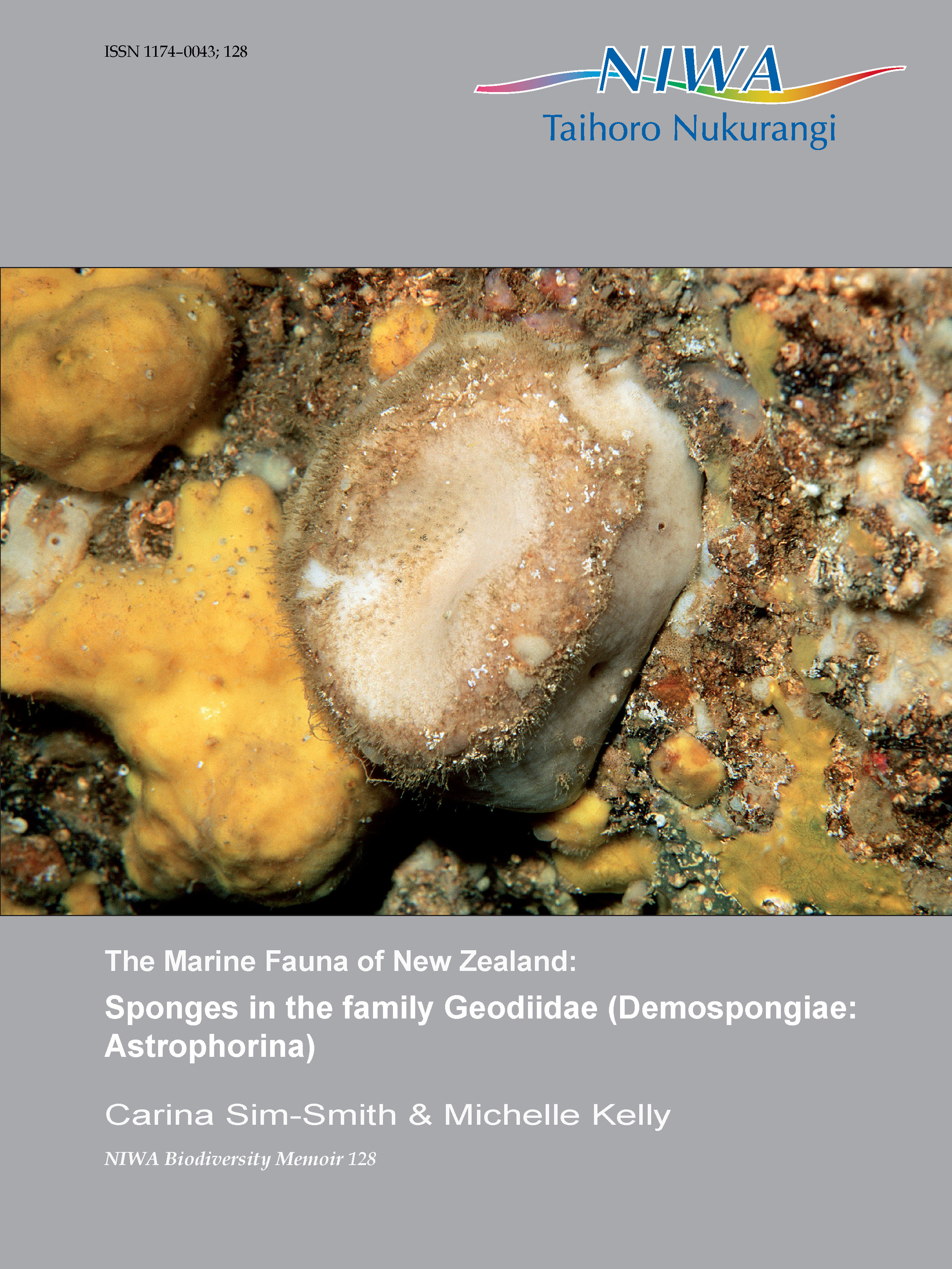 New NIWA sponge study reveals many new species to science | Earth ...