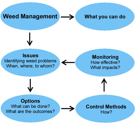 Weed management area relationships