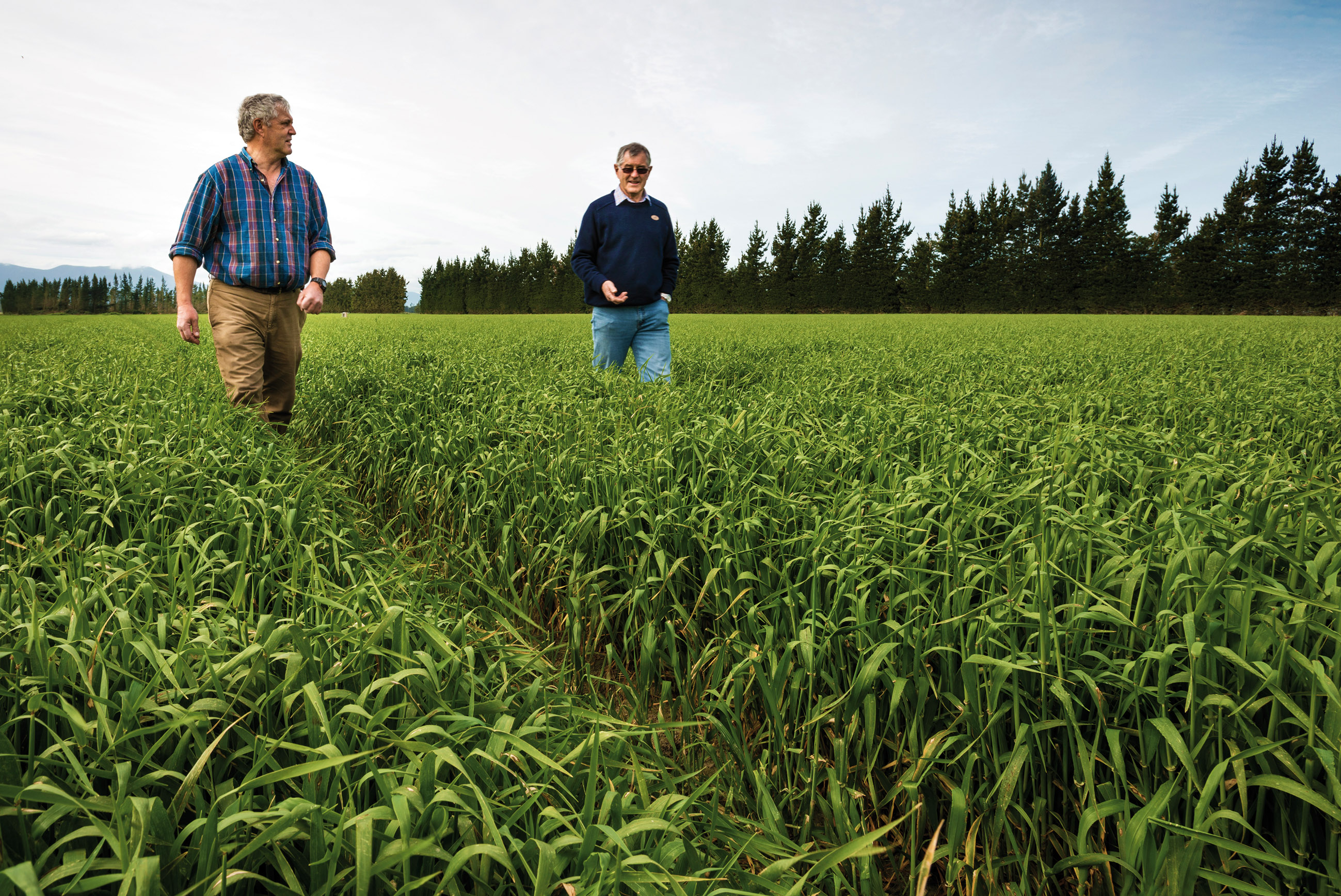 gavin_reed_canterbury_irrigation_sml_dsc_9396_credit_dave_allen_niwa ...