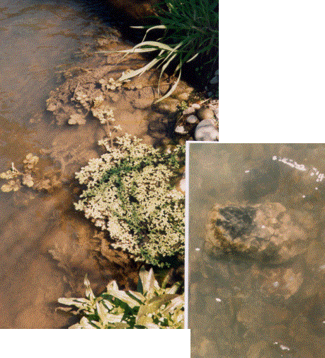 How To Monitor Your Stream Image022 Gif Earth Sciences New Zealand