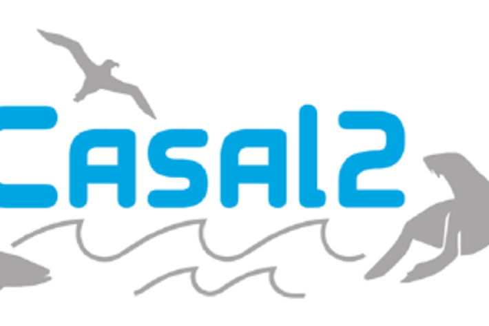 Casal2 software logo