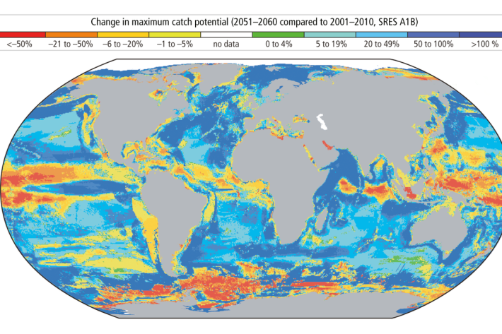 Infographic: Projected redistribution of maximum potential fisheries catch with a 2°C increase in global average temperature