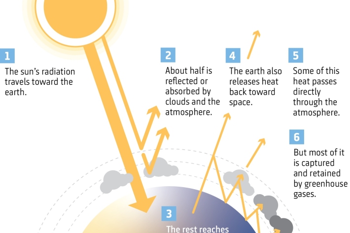 The Greenhouse Effect infographic