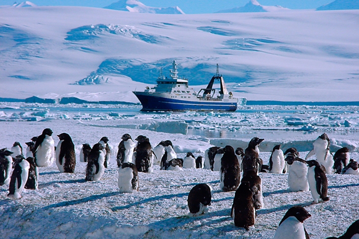 2018 - Antarctica voyage