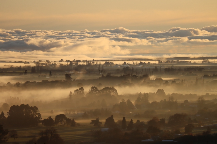 Morning mist over Waimea Plans