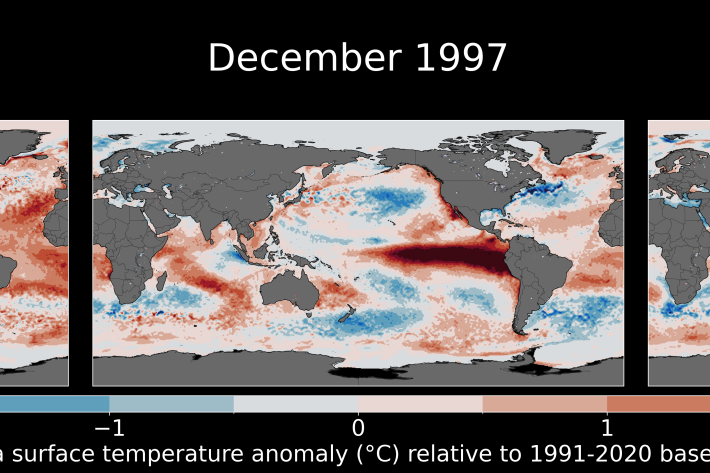 2023 Annual Climate Summary - Sea surface temperature