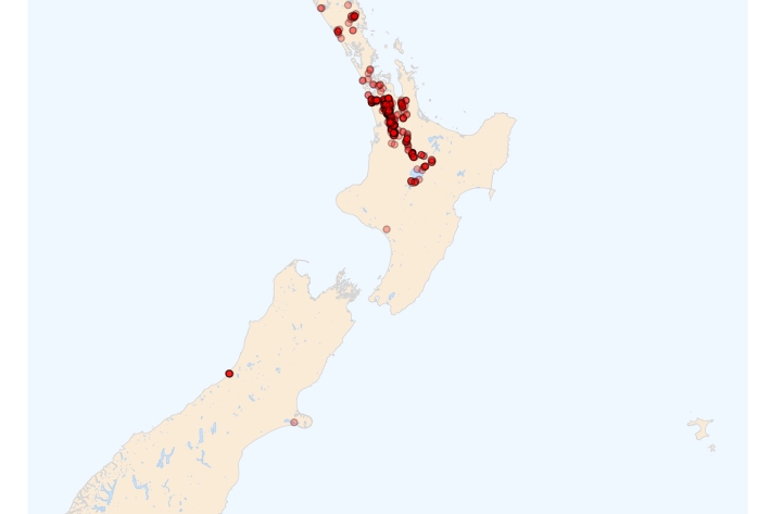 Brown bullhead catfish - distribution map [2024]