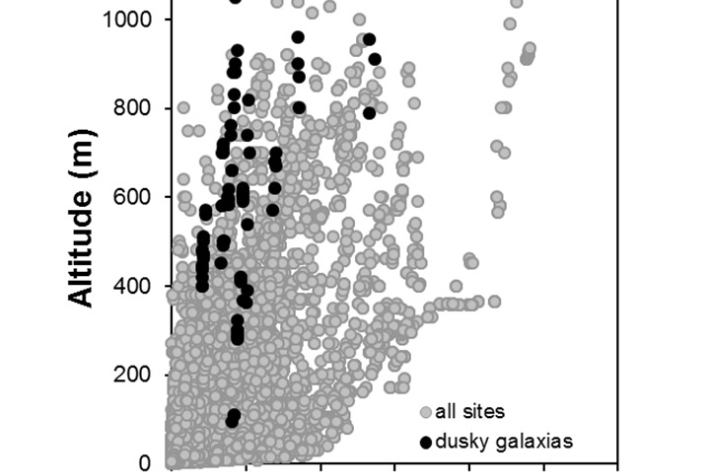 Dusky_galaxias-Galaxias pullus_penetration