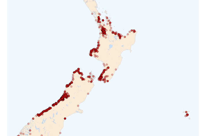 Giant kokopu - distribution map [2024]