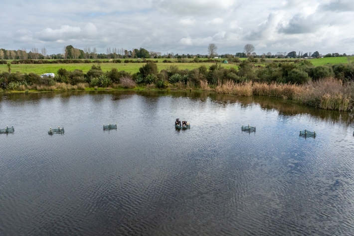 2024_06_ROTO TURF_mackay_LOW_DJI_20240612122130_0105_D.jpg