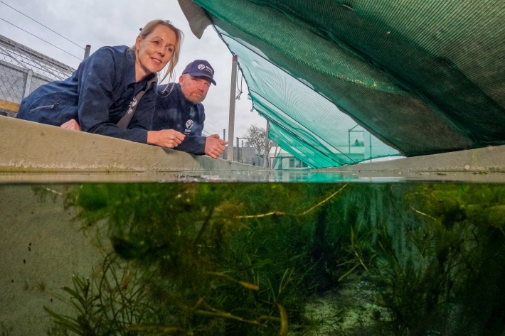 2024_06_ROTO TURF_mackay_LOW_G0062888.jpg