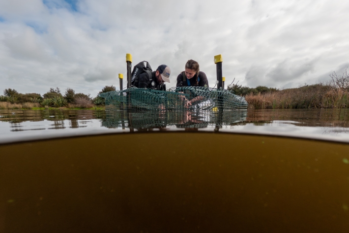 2024_06_ROTO TURF_mackay_LOW_GOPR2870-Enhanced-NR.jpg