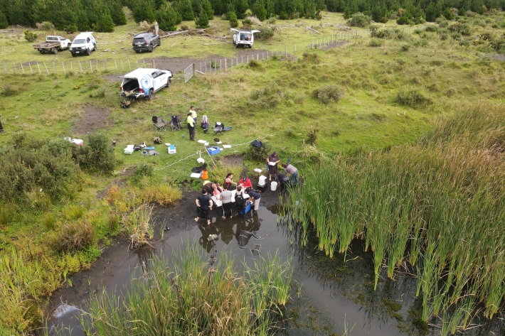 Drone footage 1 - Keith Kana.jpg