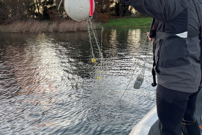 Gordon setting net.jpg