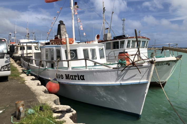 Tongan deepwater line fishery vessels