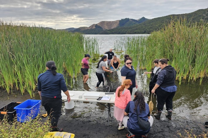 Bringing the nets in and setting up to process the tuna catch at the April wanaanga. 