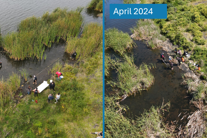 LakeTahaaroa_2023vs2024.png