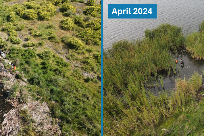 LakeTahaaroa_2023vs2024