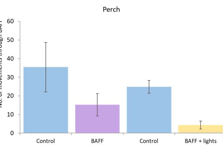 Number of movements through control trials and treatments (BAFF with and without lights) for perch. 