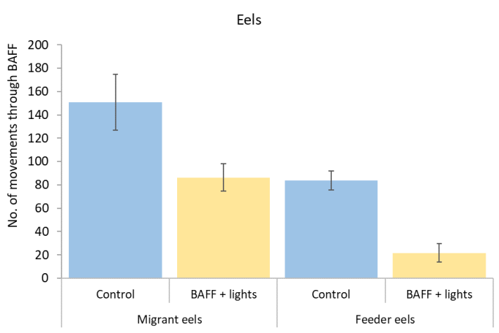 Number of movements through control trials and treatments (BAFF with and without lights) for eels. 