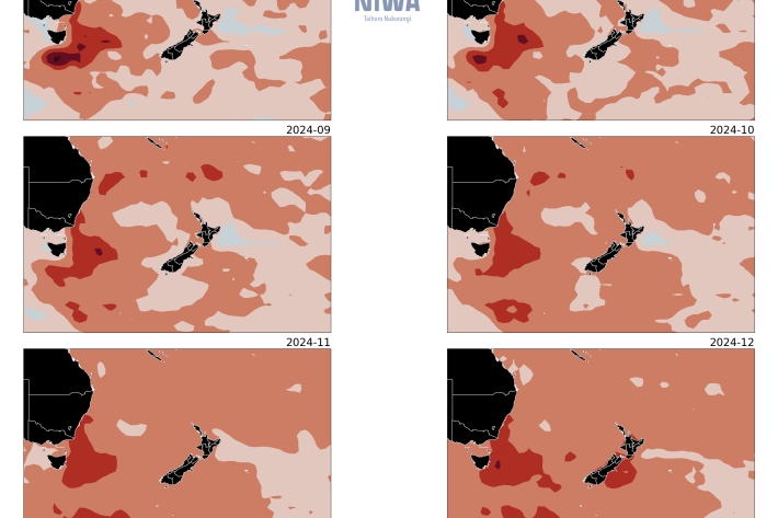 NZ Sea Surface Temperature - July - Decemeber 2024