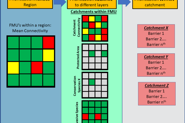 BART_processflow.png