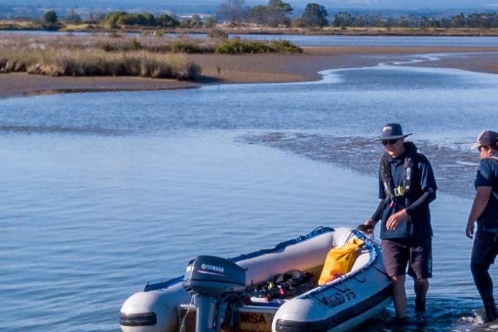 NIWA staff head into the Waihi estuary.