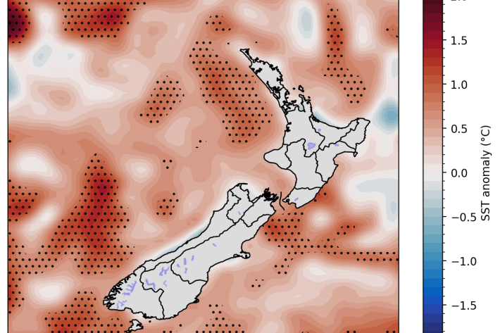 SCO-marine-heatwave-August-2024.png