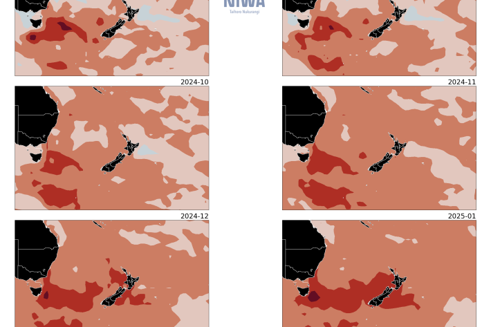 NZ Sea Surface Temperature - August - January 2024