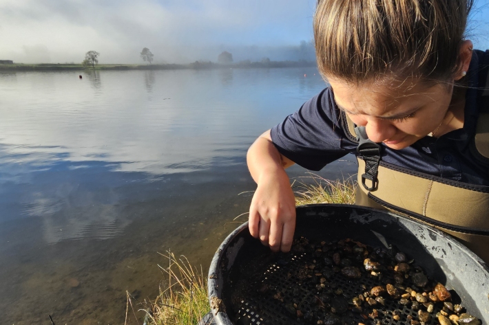 Corbicula_fieldwork_Melchior (3).jpg