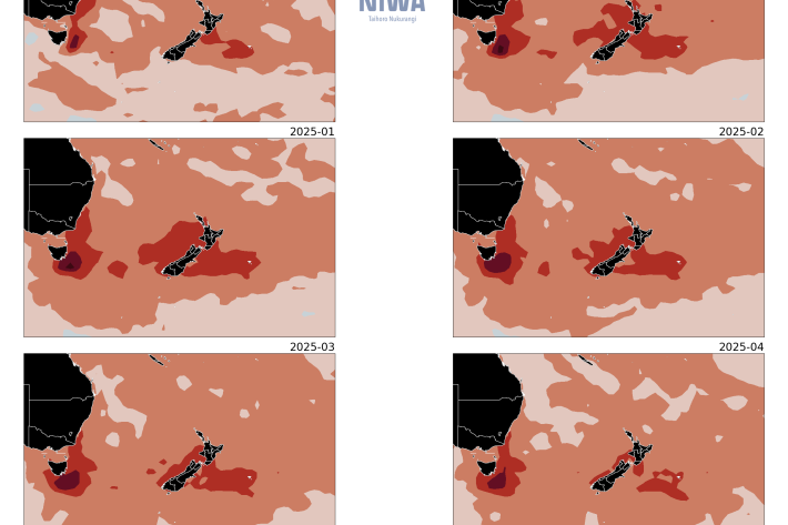 Sea surface temperature anomaly maps for November 2024 - April 2025