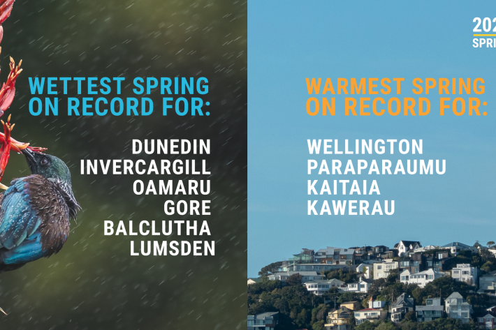 2024_12_SPRING CLIMATE SUMMARY_RAIN + WARM_2