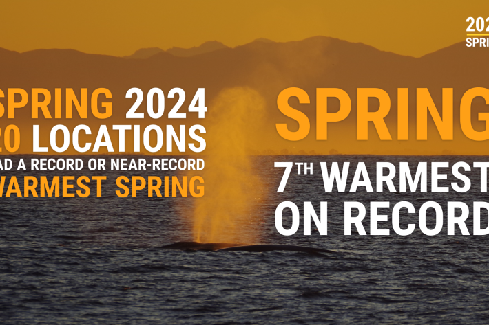 2024_12_SPRING CLIMATE SUMMARY_RECORDS + WARM_3