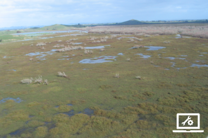 Shallow-fw-tool-page-type-icon