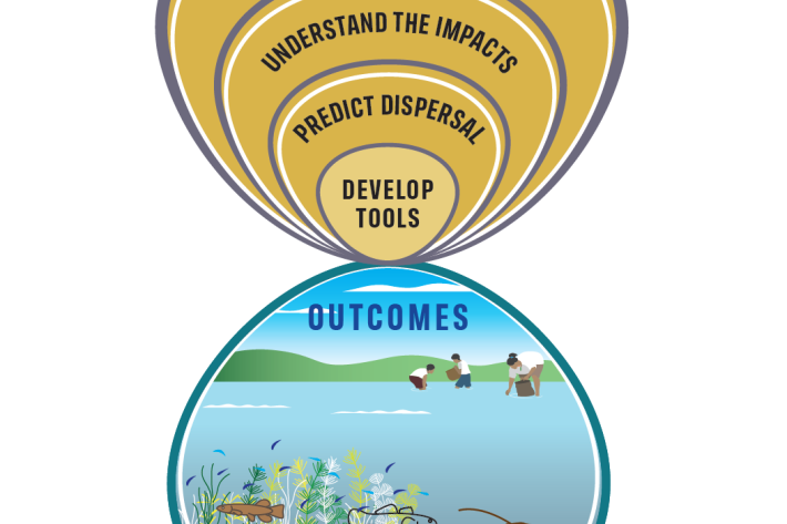 gold_clam_strategies_figure.