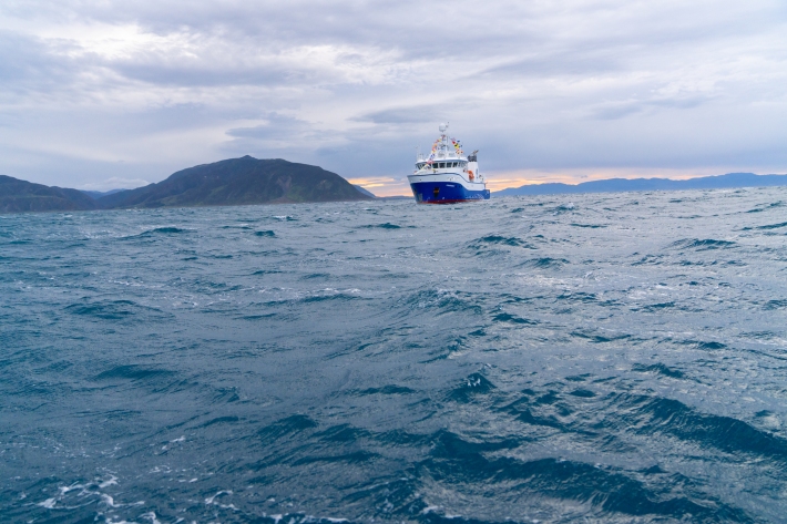 Kaharoa II christening banner