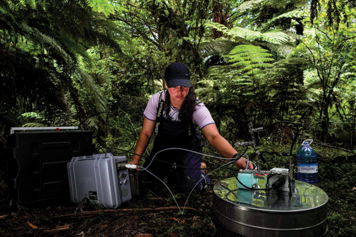 Kararaina collecting soil/air samples in Raukūmara forest.