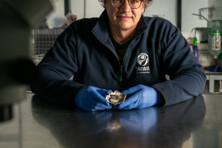 Marine biosecurity scientist Dr Henry Lane is researching how to predict outbreaks of shellfish disease under climate change. 