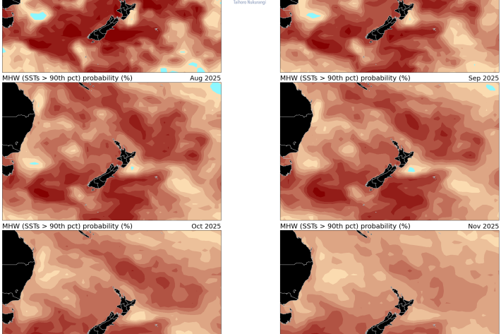 Marine heat wave probability June - November 2025.