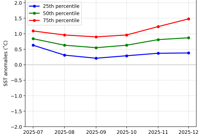 SST graph Coromandel July 2025