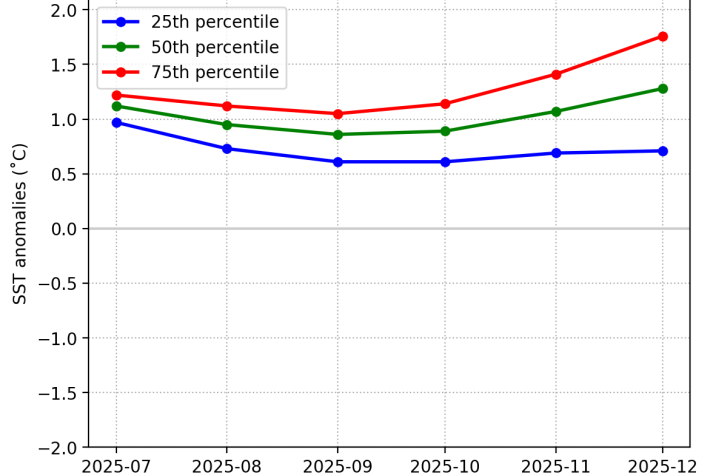 SST graph Golden Bay July 2025