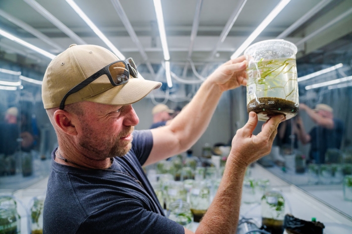 Biogeochemist, Ben Woodward, with a Potamogeton ochreatus experimental flask.