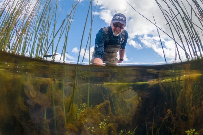 Dr Chris Tanner inspects plants at a constructed wetland in Awatuna Taranaki.