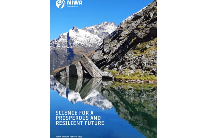 2025 Annual Report cover