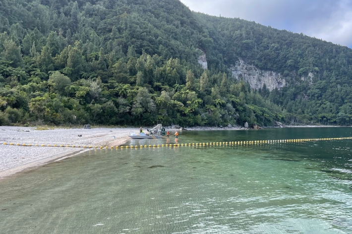 Endothall page banner