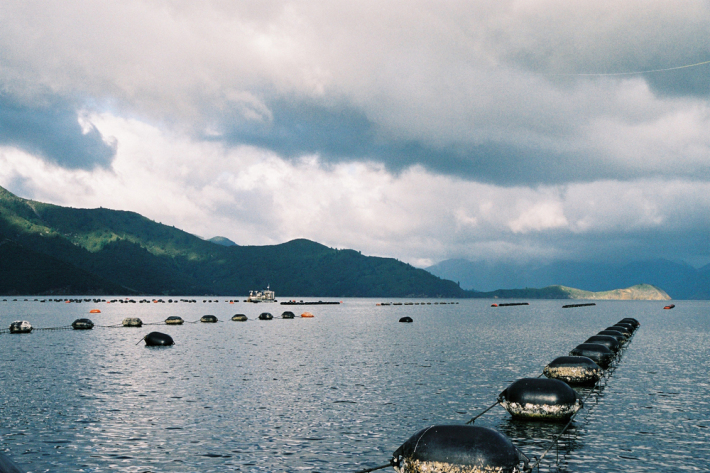 Mussel Farm