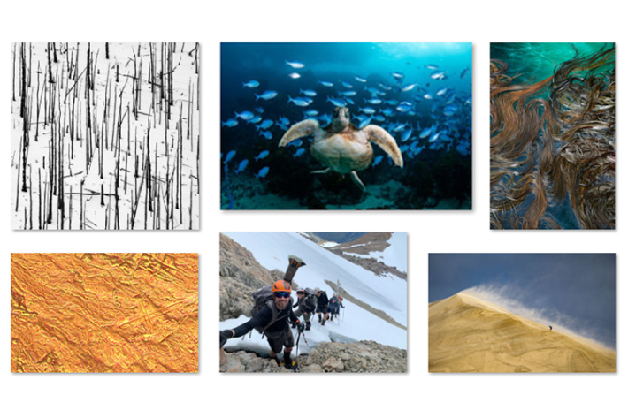 Photo competition 2025