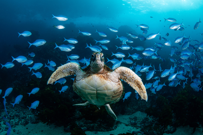 Duuuuuuude, why is it so cold?