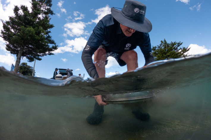 Drew Lohrer sifts samples in Waihi estuary.