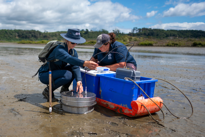 Earth Science NZ researchers Sarah Hailes and Emily Douglas take gas measurements from the sediment in Waihi estuary